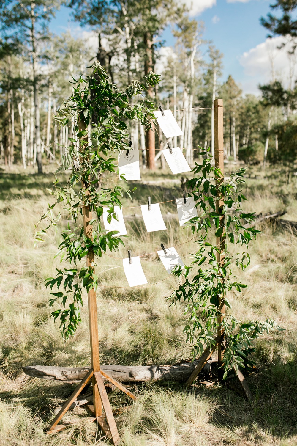 monique-hessler-weddings
