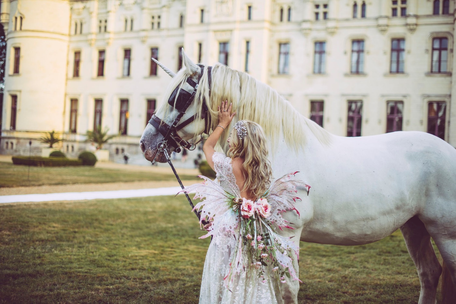 Unicorn and a fairy bride