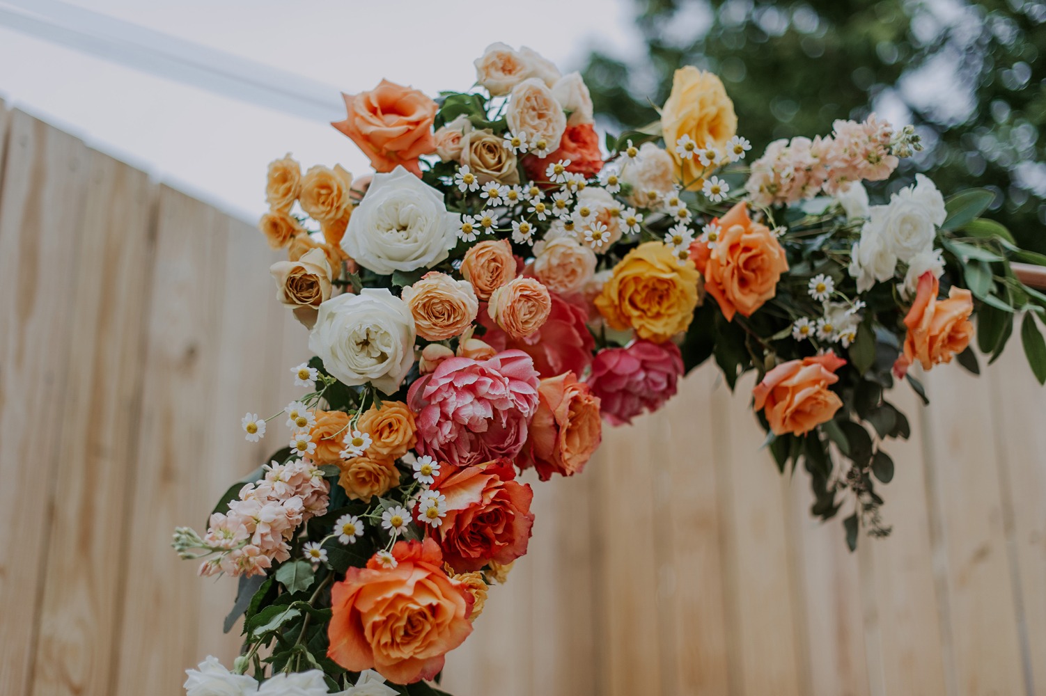 wedding-submission-from-connection
