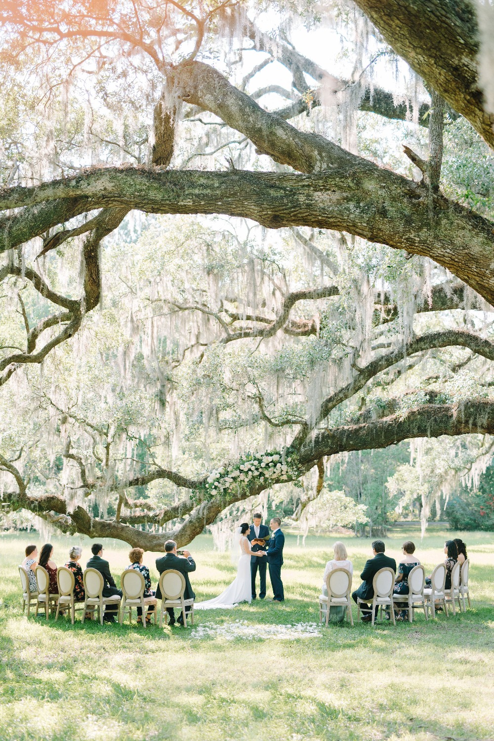 wedding under romantic tree
