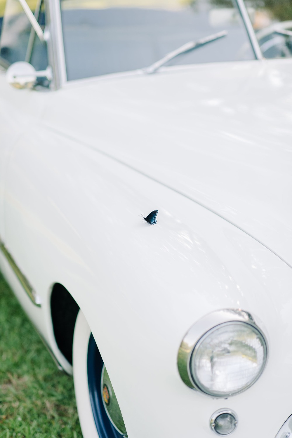 wedding-submission-from-francesca