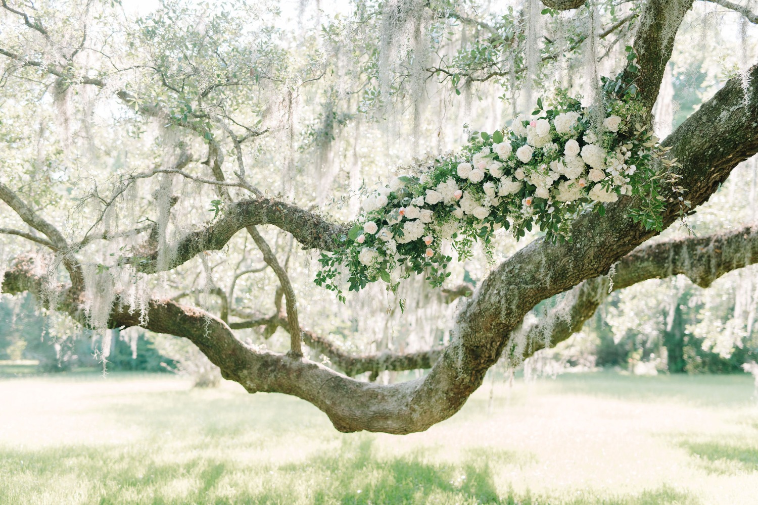 wedding-submission-from-francesca