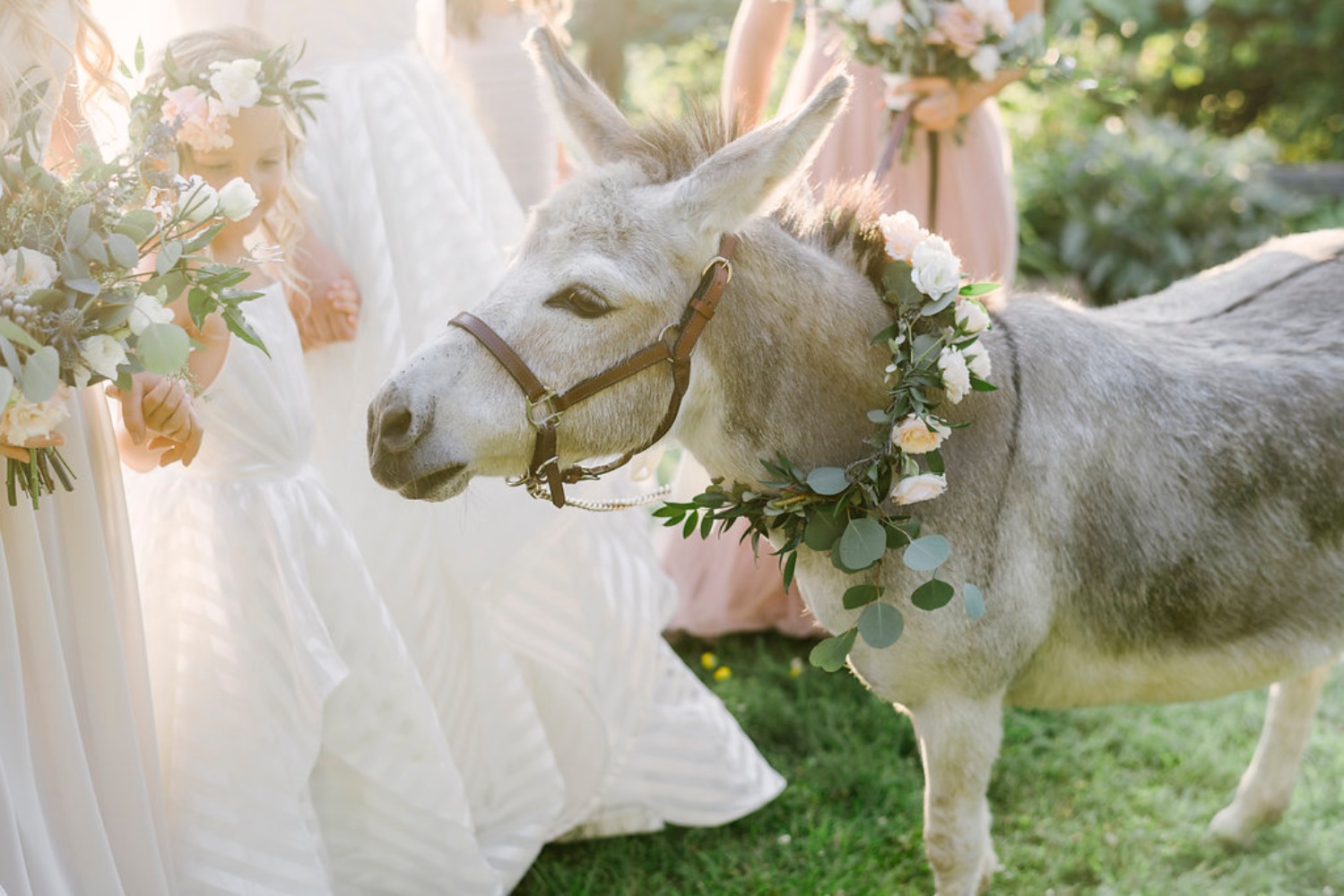 wedding-submission-from-lambs-hill