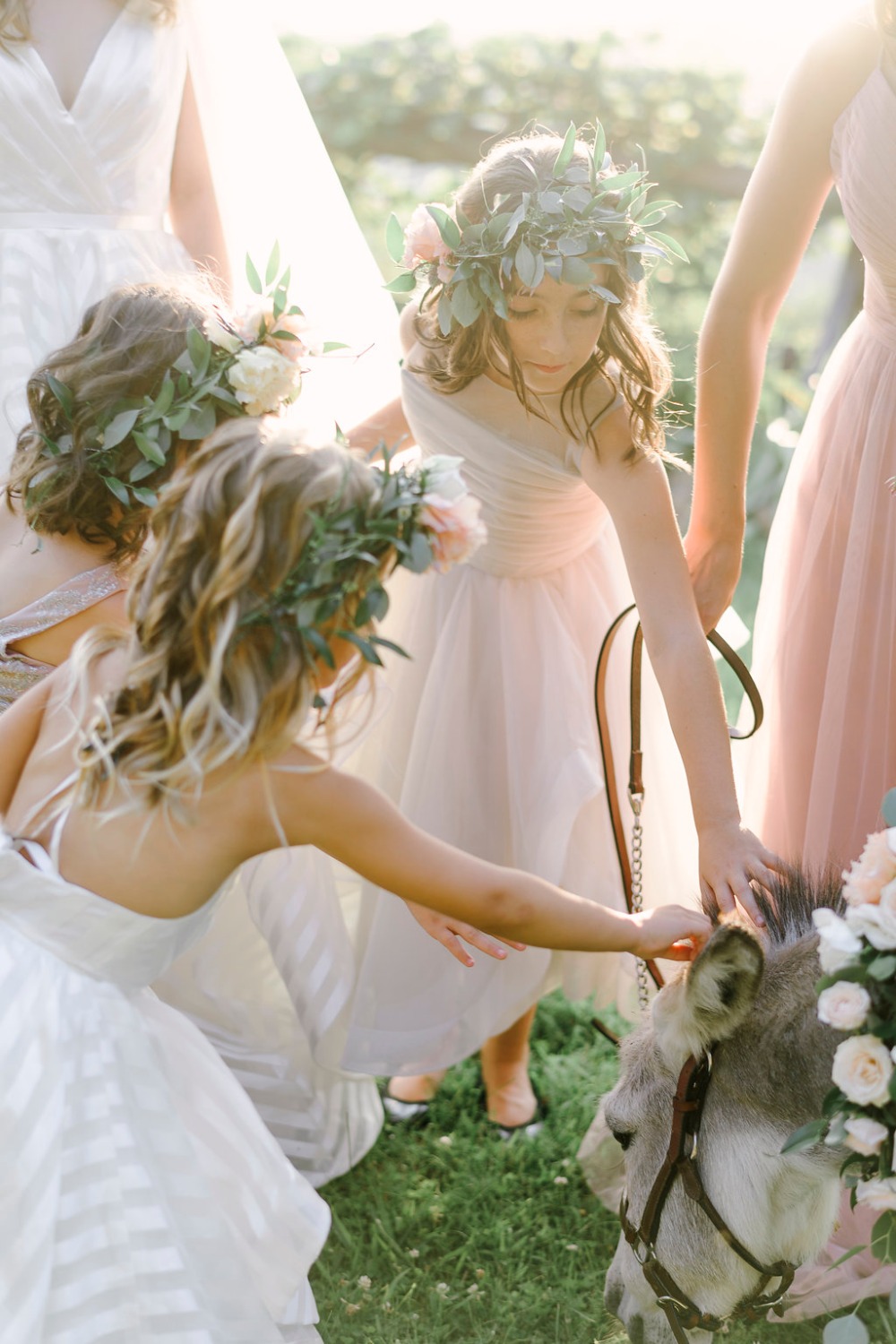 wedding-submission-from-lambs-hill
