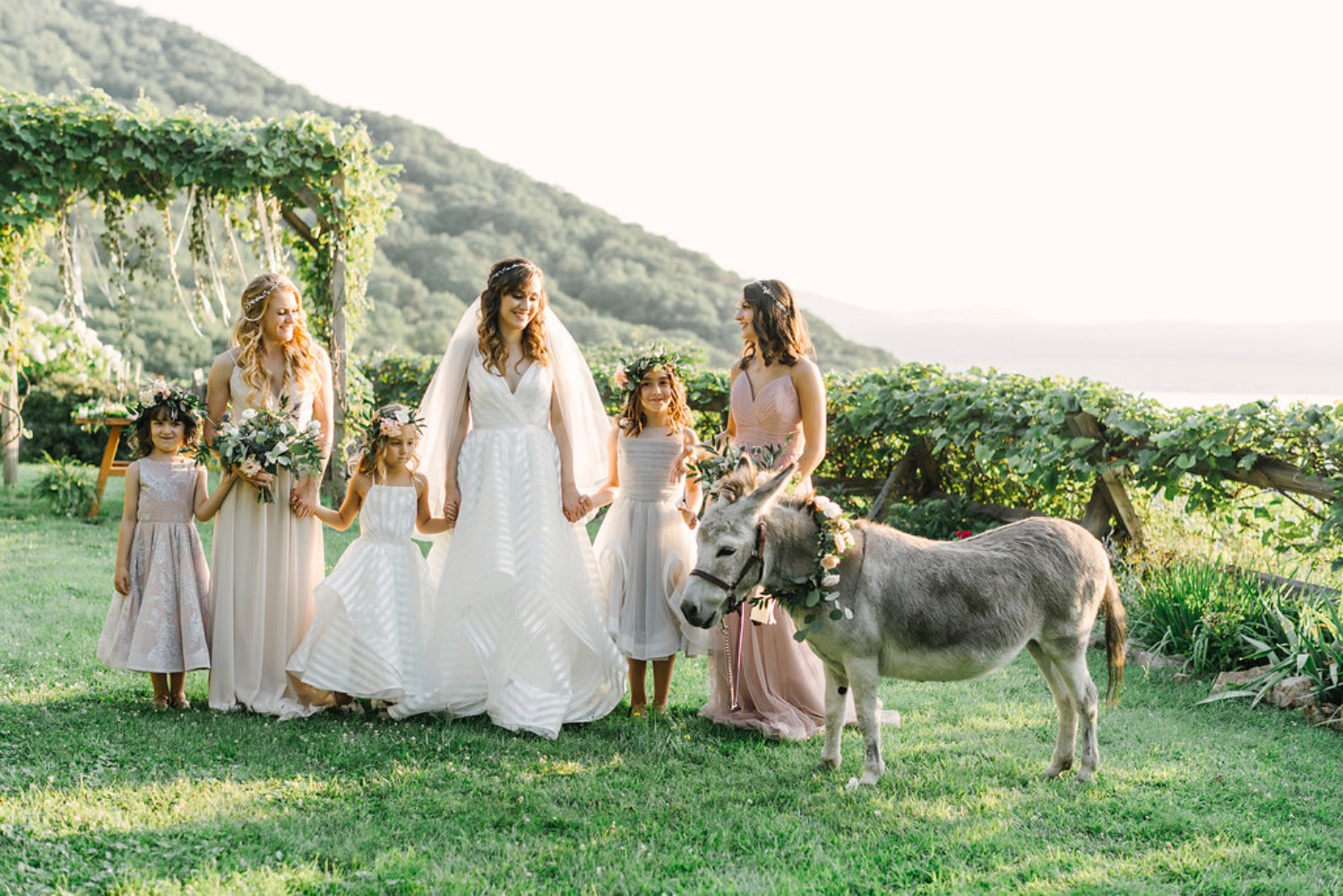 wedding-submission-from-lambs-hill