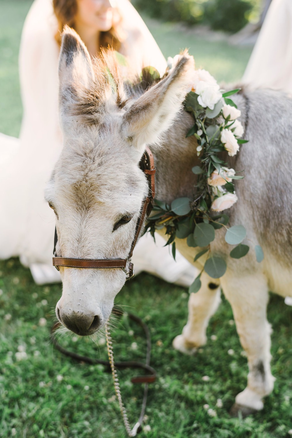 wedding-submission-from-lambs-hill