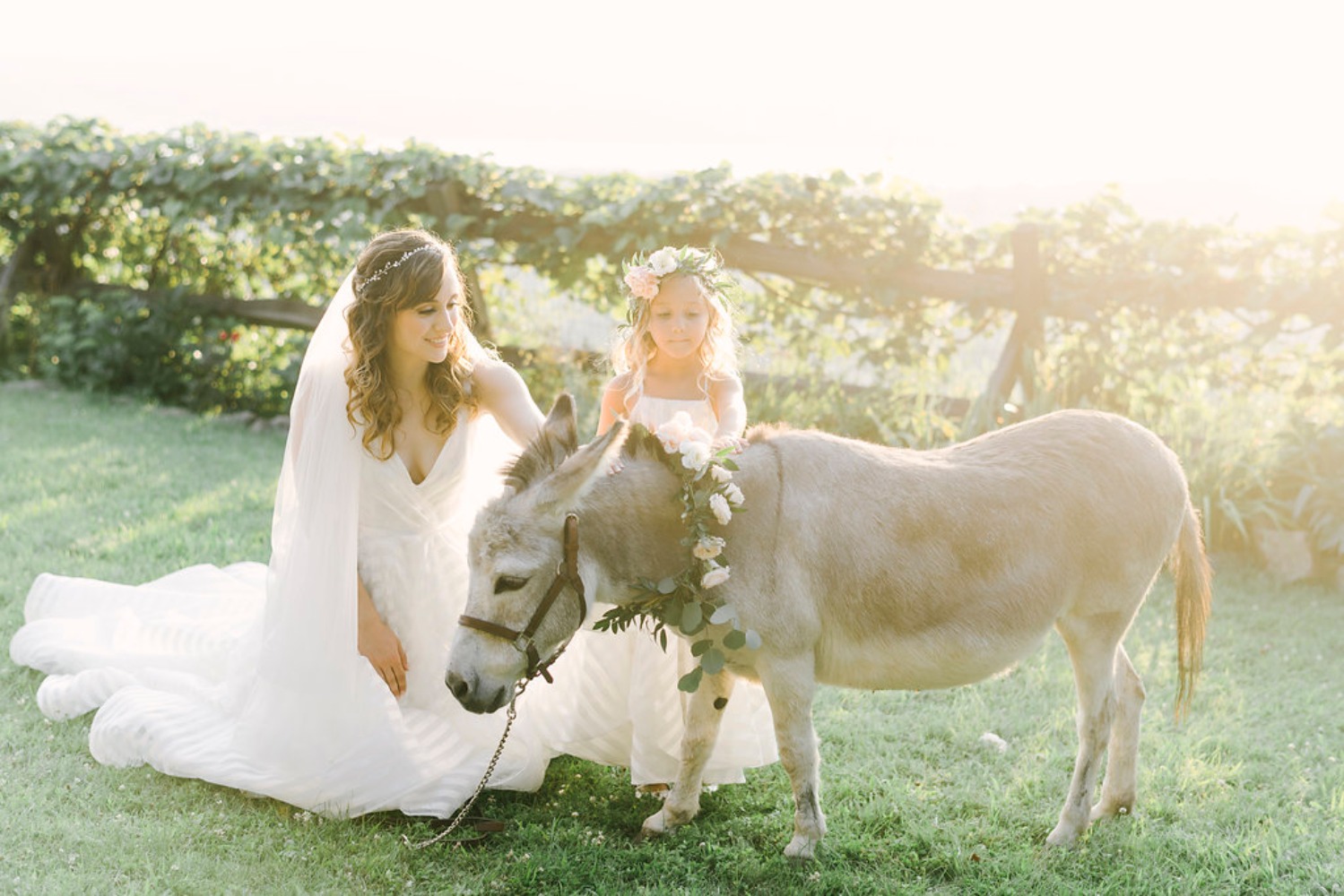 wedding-submission-from-lambs-hill