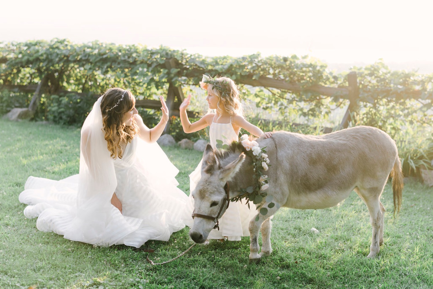 wedding-submission-from-lambs-hill