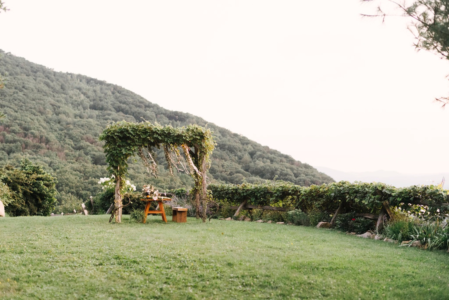 wedding-submission-from-lambs-hill