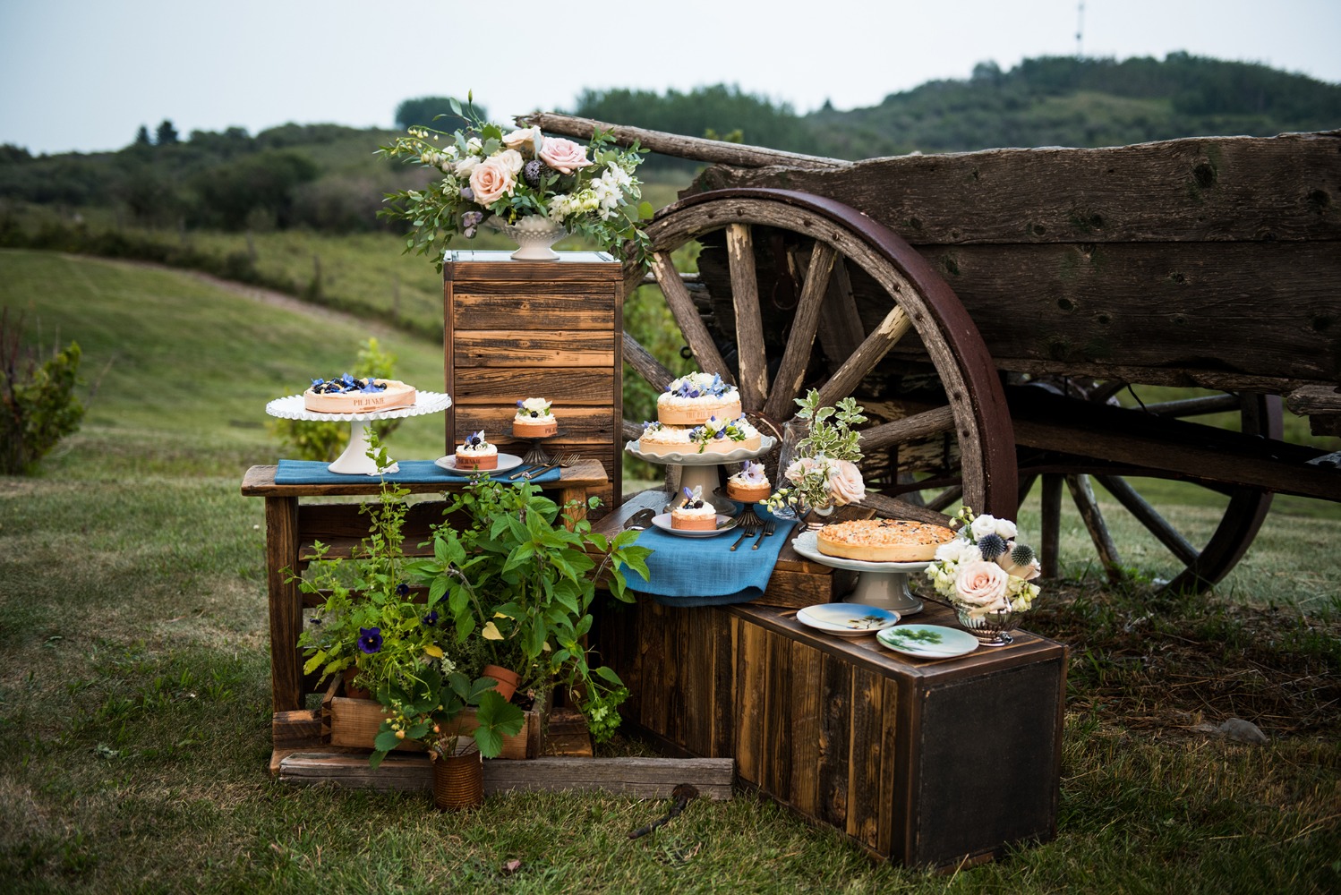 wedding-submission-from-paisley