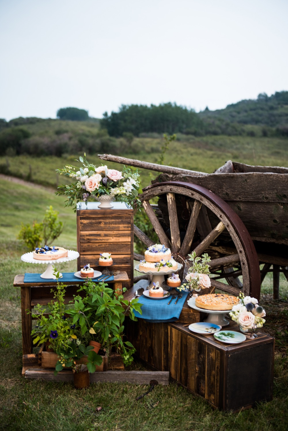 wedding-submission-from-paisley