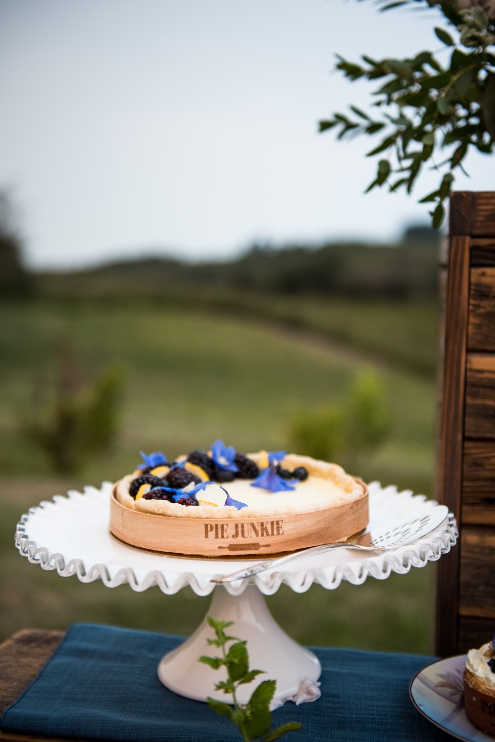 wedding-submission-from-paisley