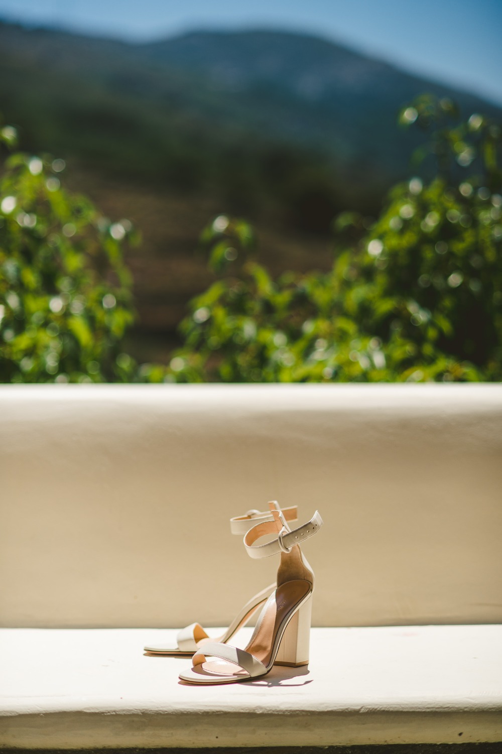 wedding-submission-from-rock-paper