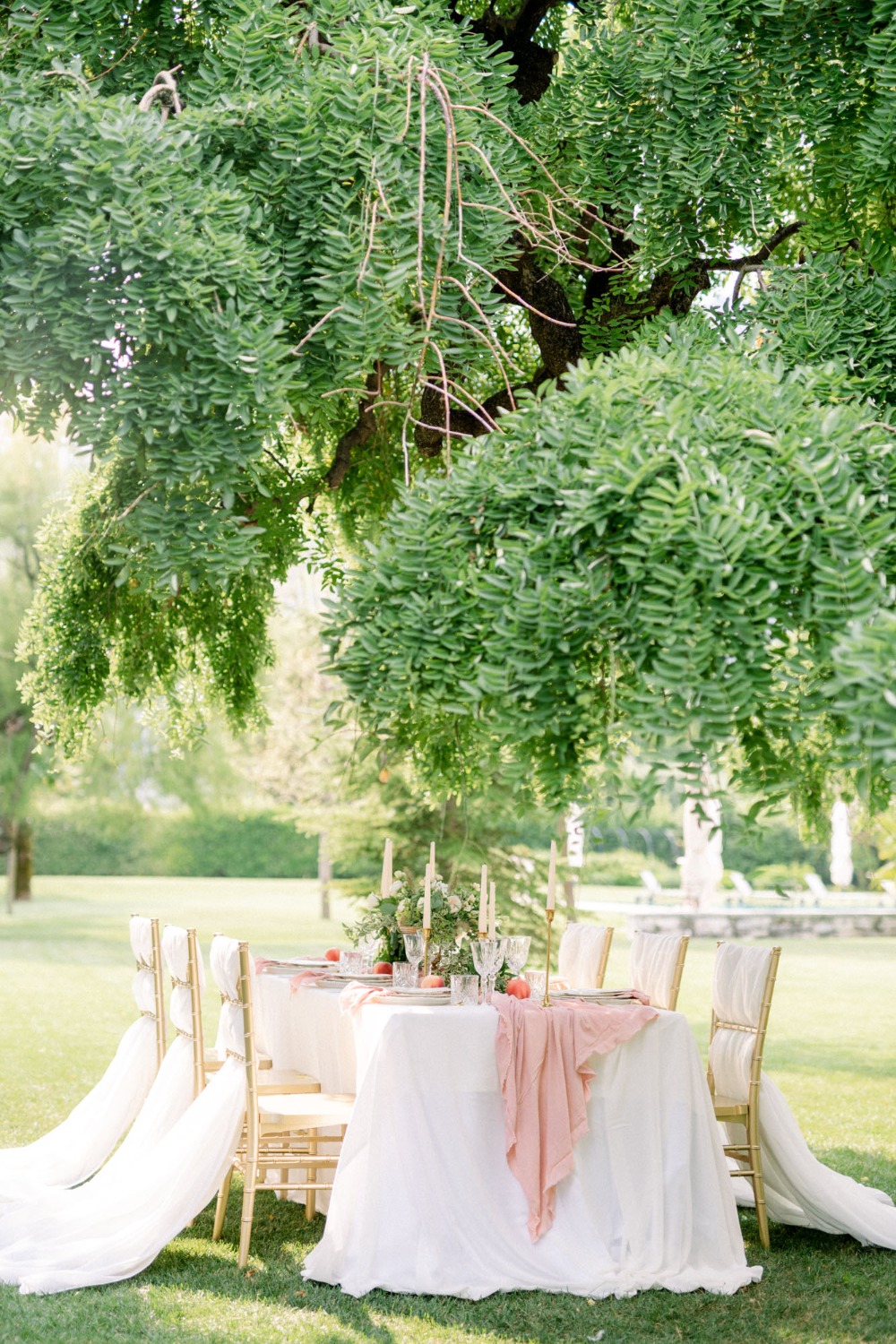 wedding-submission-from-tiffany-tolmen