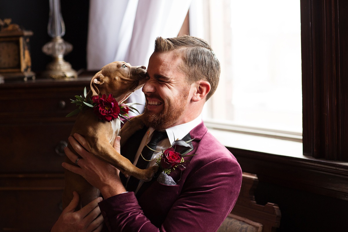 wedding puppy kisses