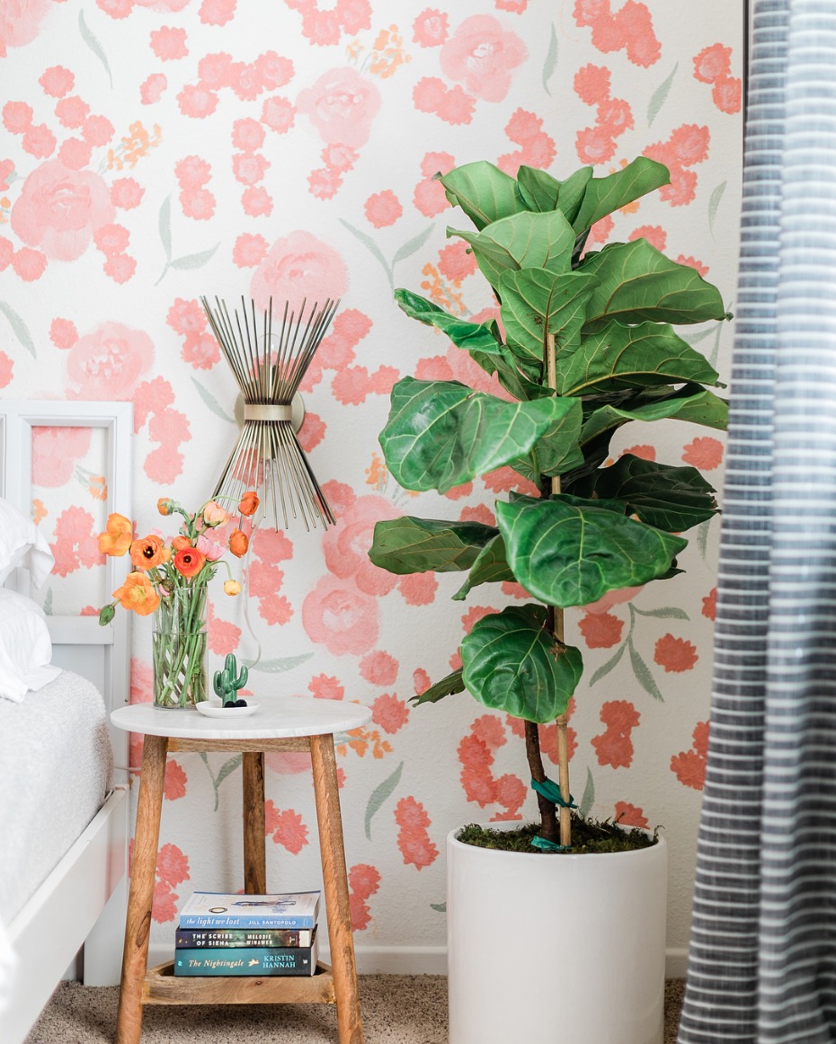Pantone Living Coral Color of the Year Statement Wall Inspiration
