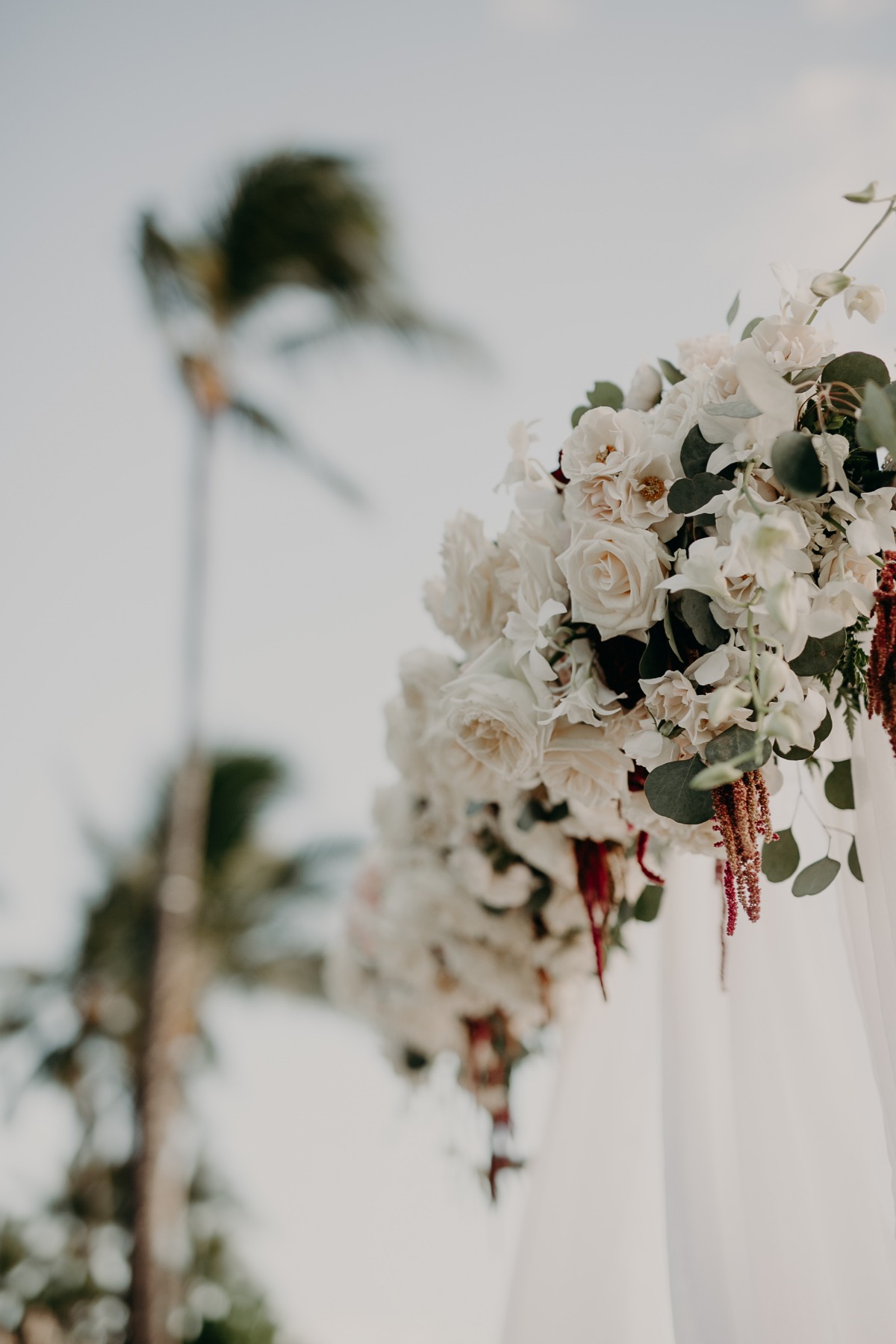 White floral wedding arch with palm trees in the background
