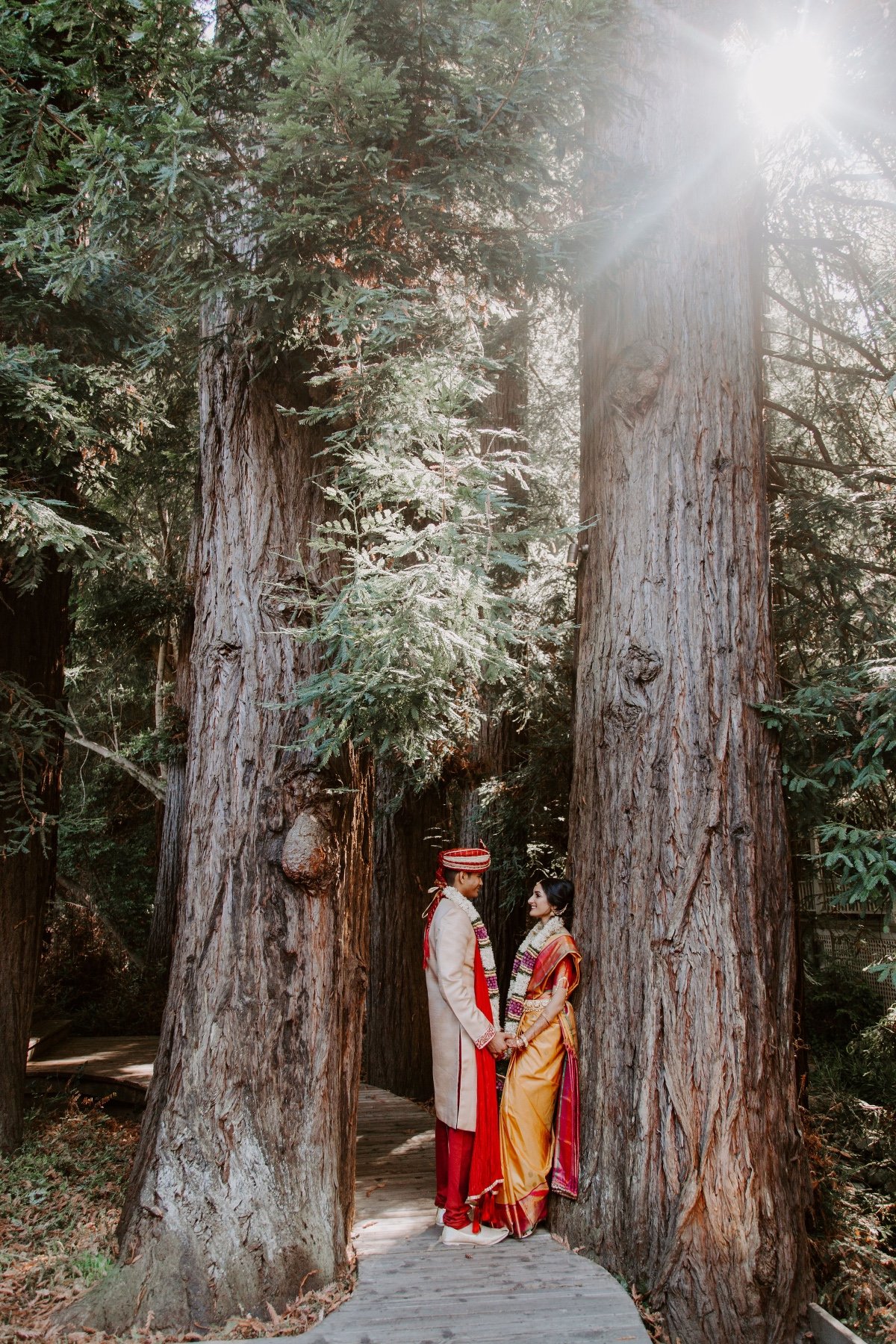 Gorgeous redwoods wedding
