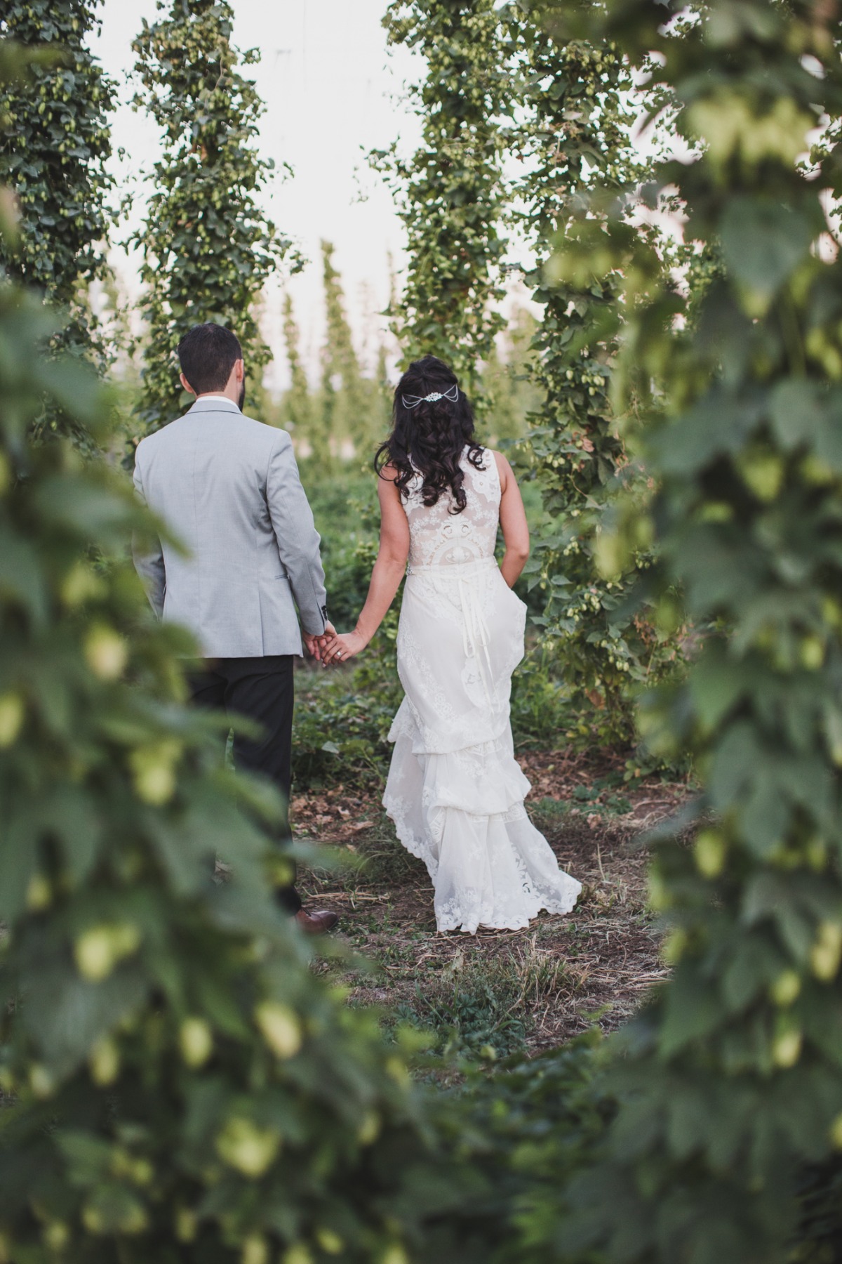 a wedding walk through the hops