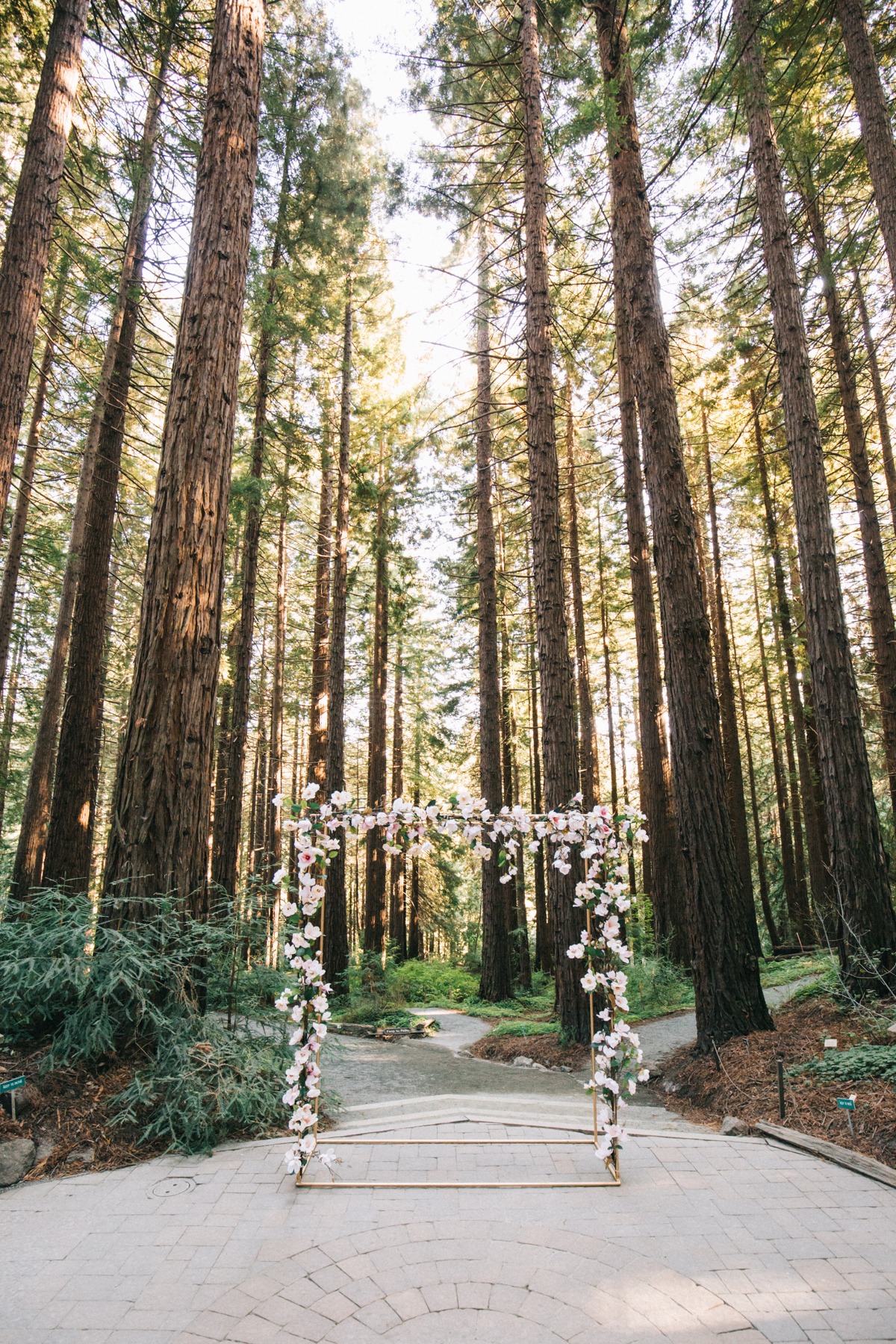 Redwoods Ceremony