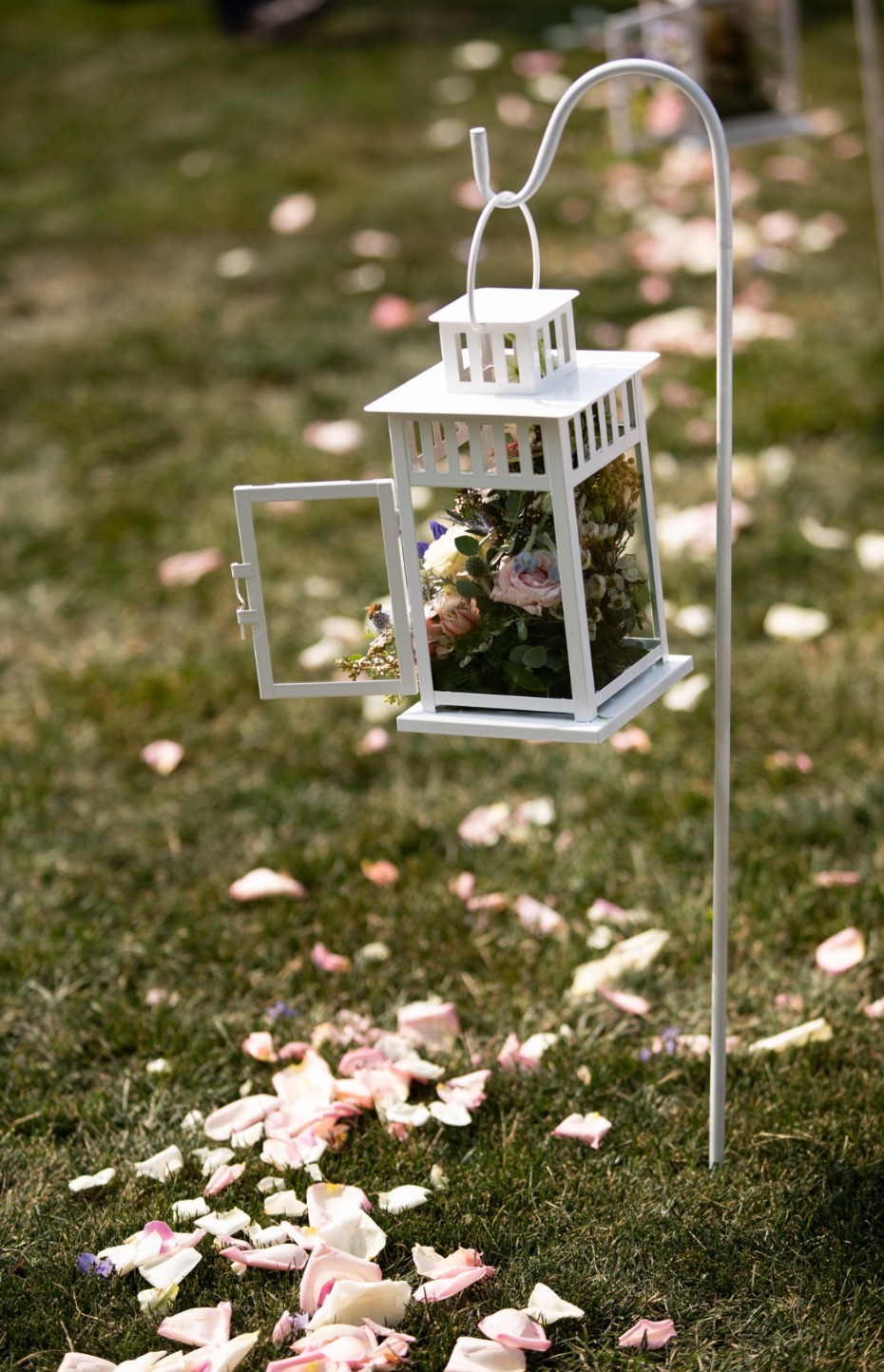 White lantern with flowers and petals on garden grass