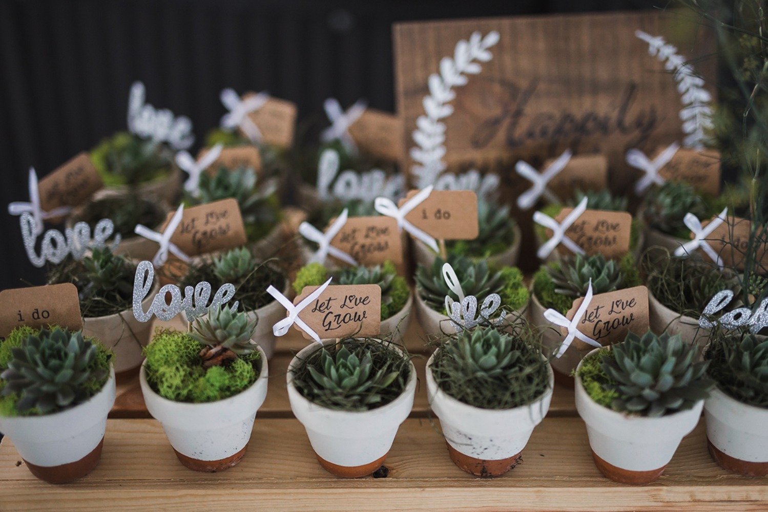 Wedding favors with succulents, Let Love Grow and Happily sign