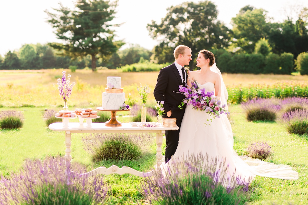 lavender-bg-48
