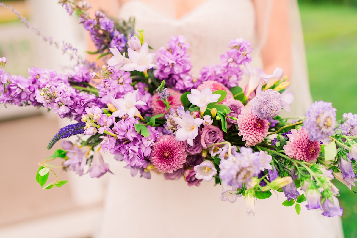lavender-bg-85