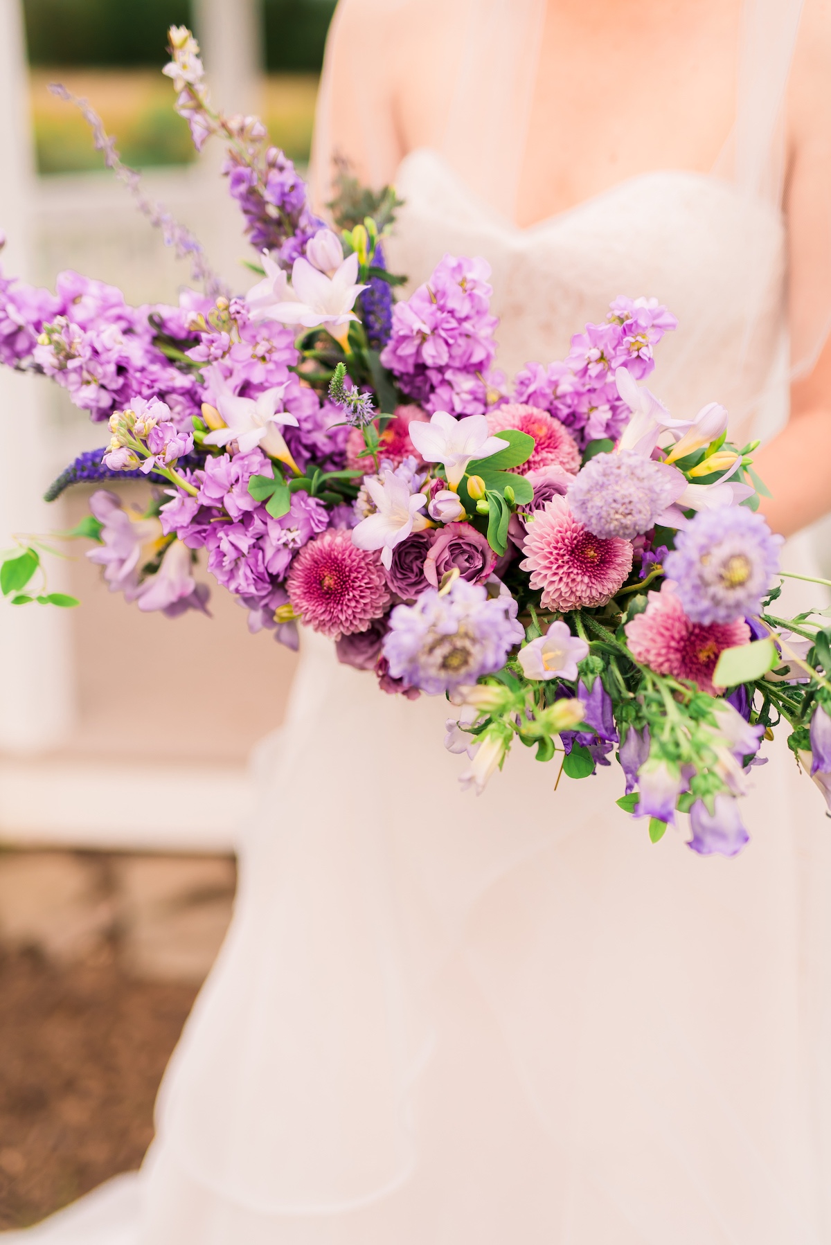 lavender-bg-89