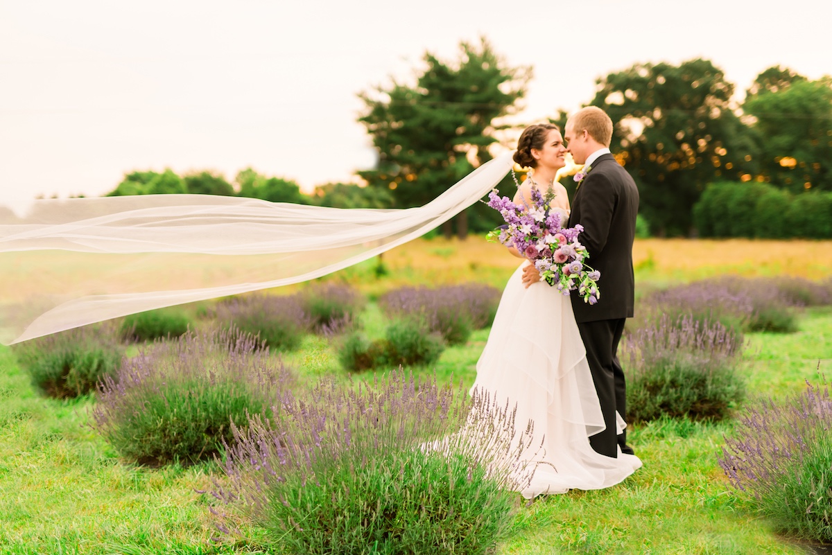 lavender-bg-93