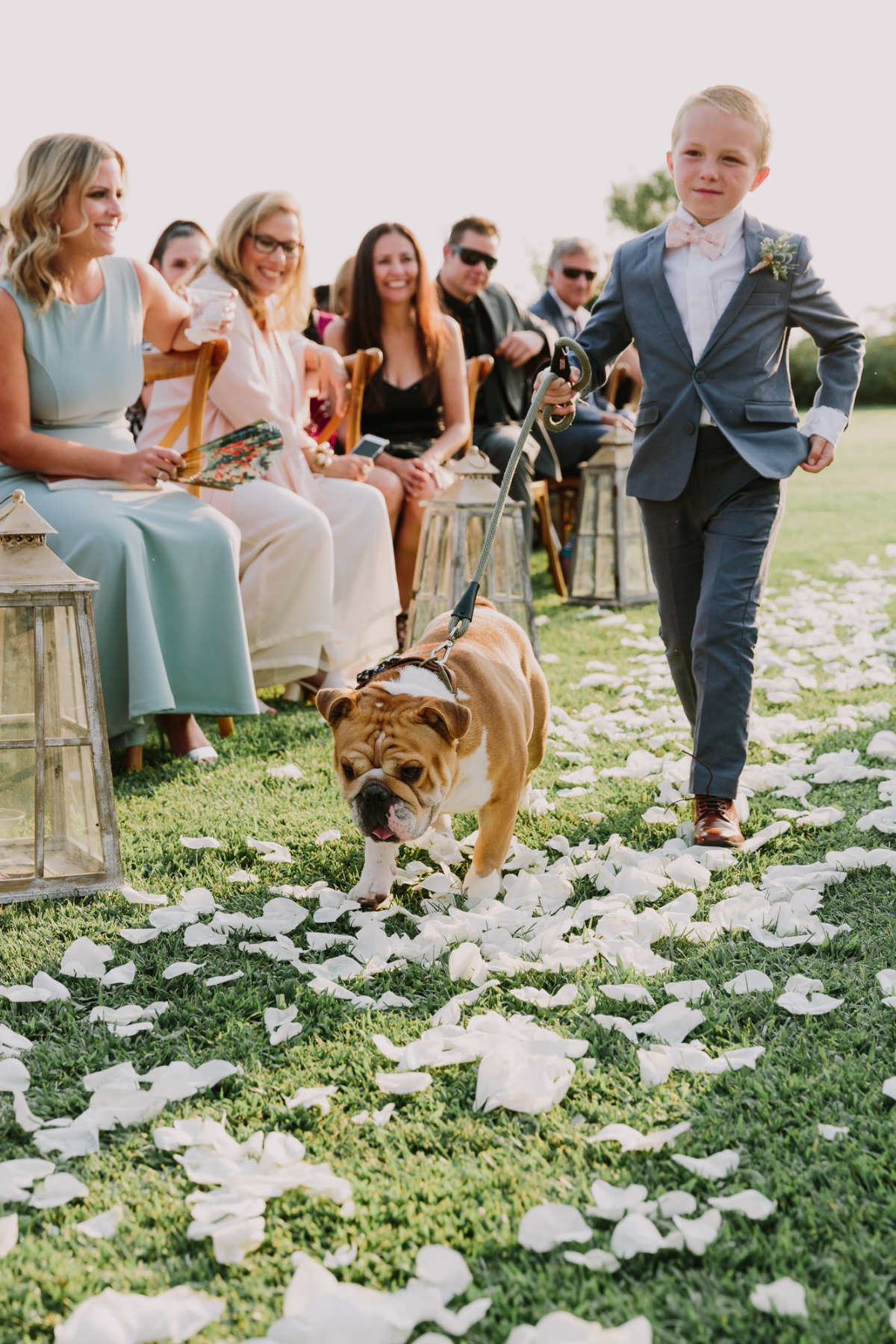 ring bearer and wedding dog