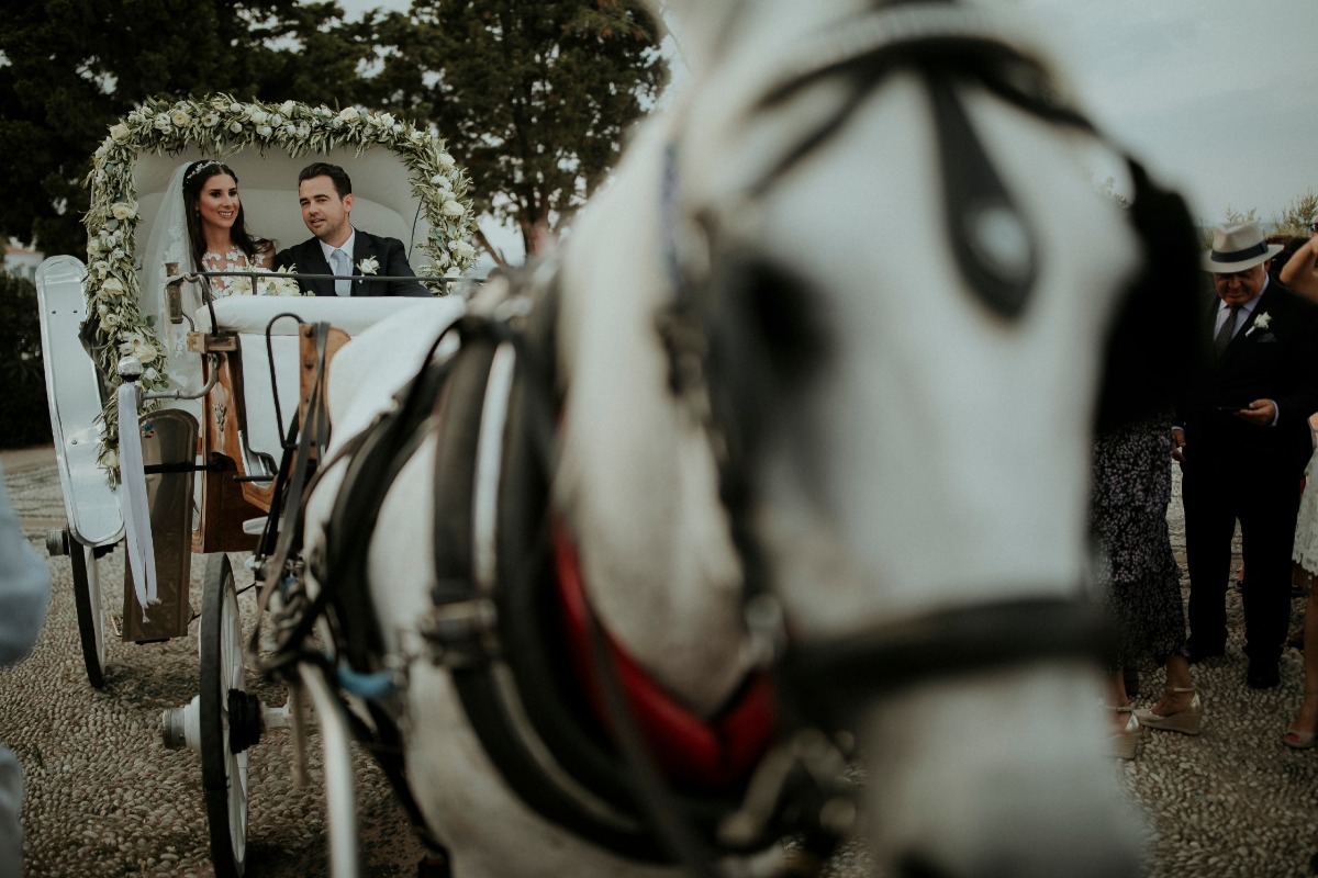 A happy couple rides in a horse-drawn carriage on their wedding day