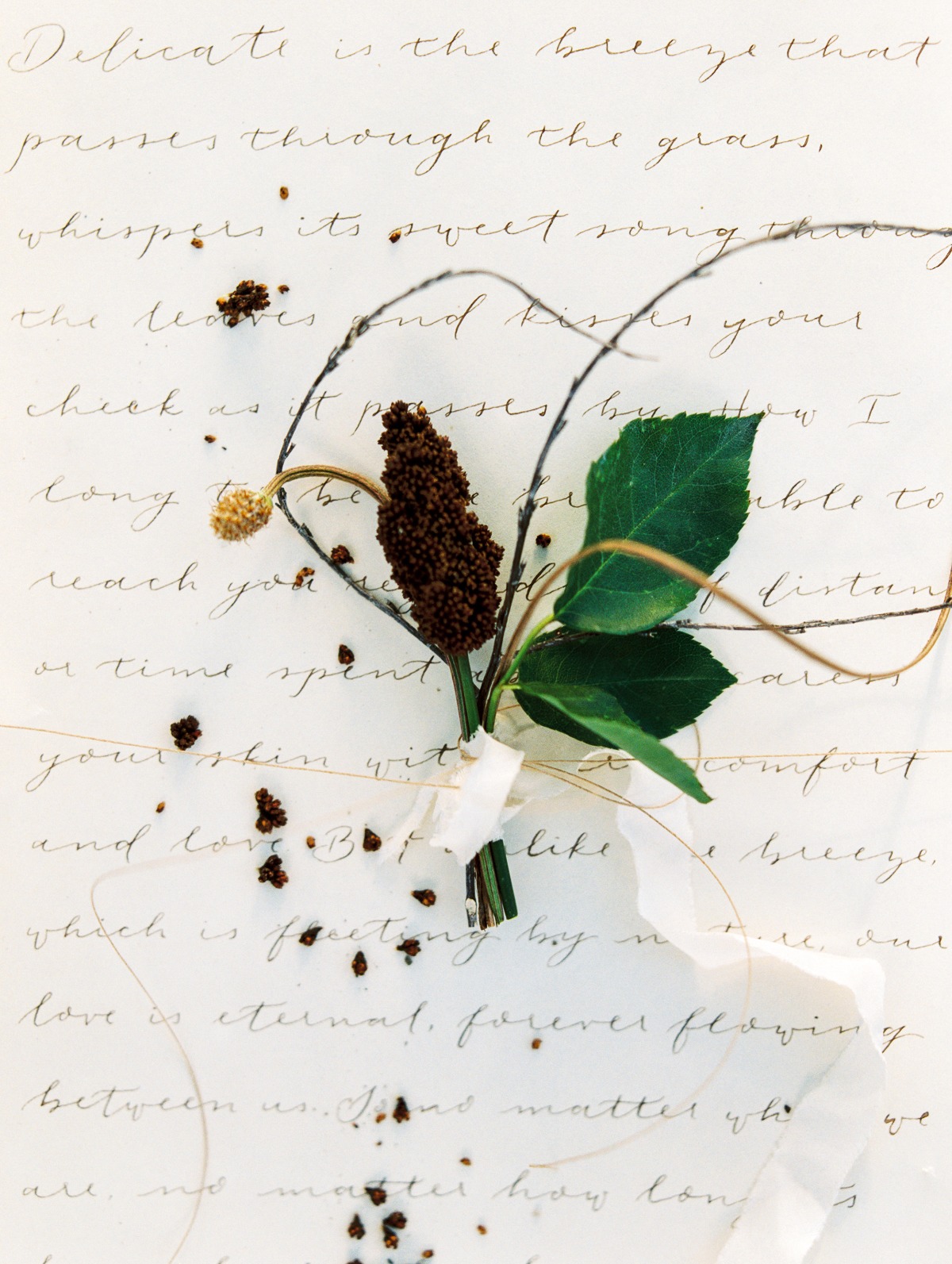 purasoulphoto_jannabrowndesign_20180502