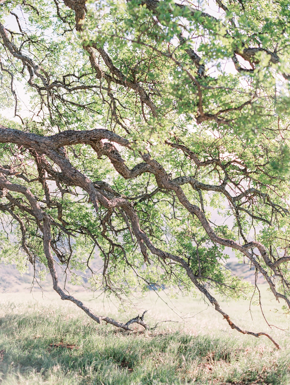 purasoulphoto_jannabrowndesign_20180502