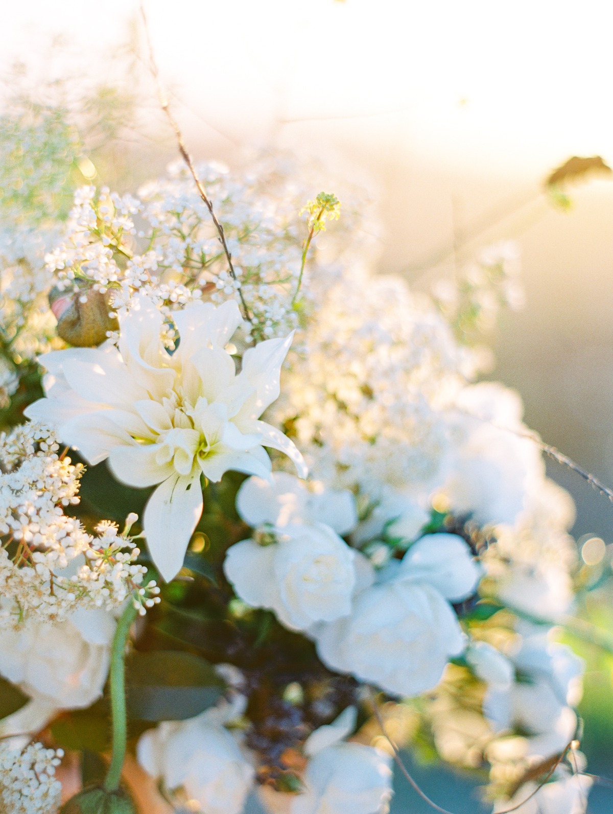 purasoulphoto_jannabrowndesign_20180502