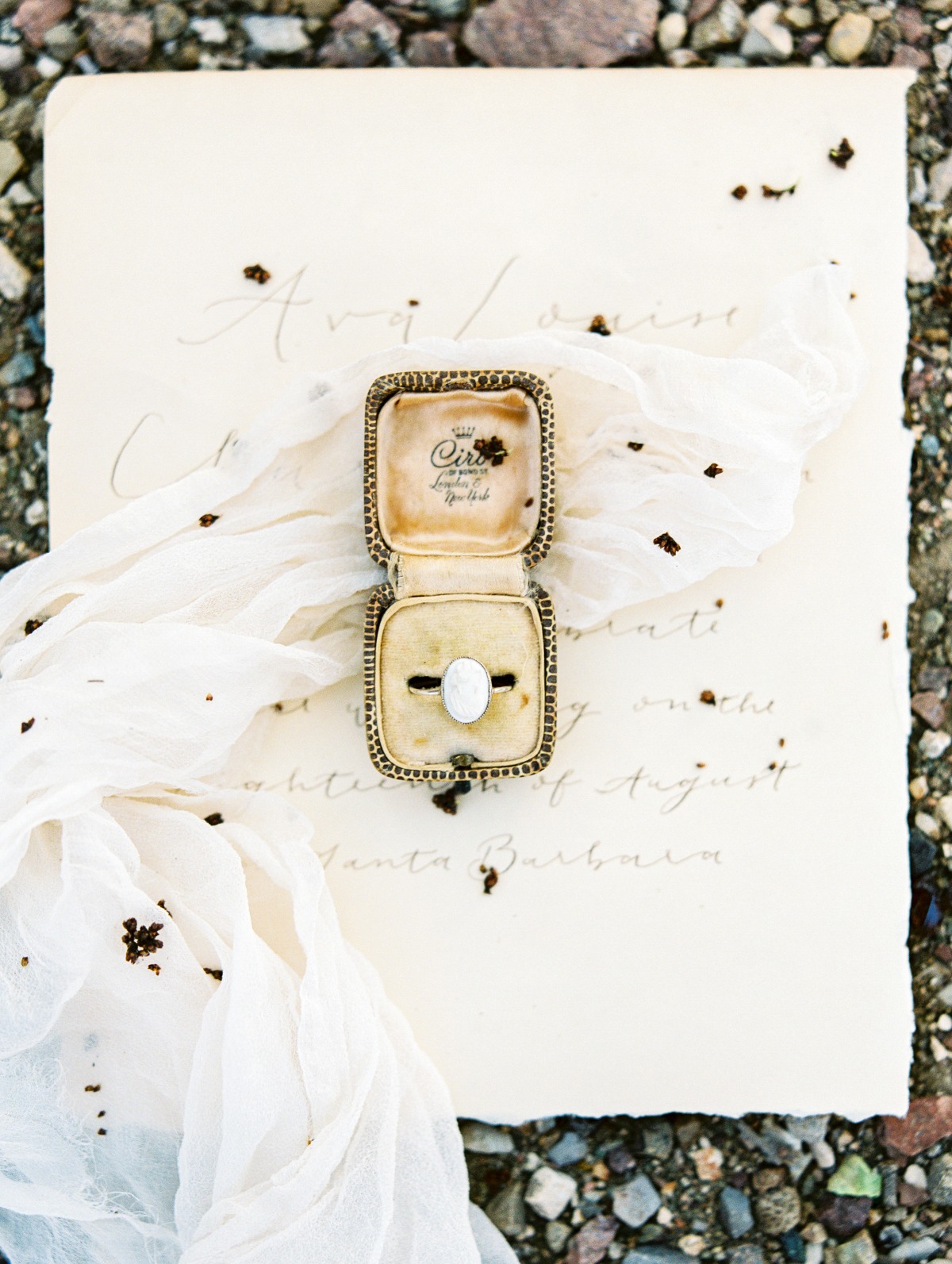 purasoulphoto_jannabrowndesign_20180502