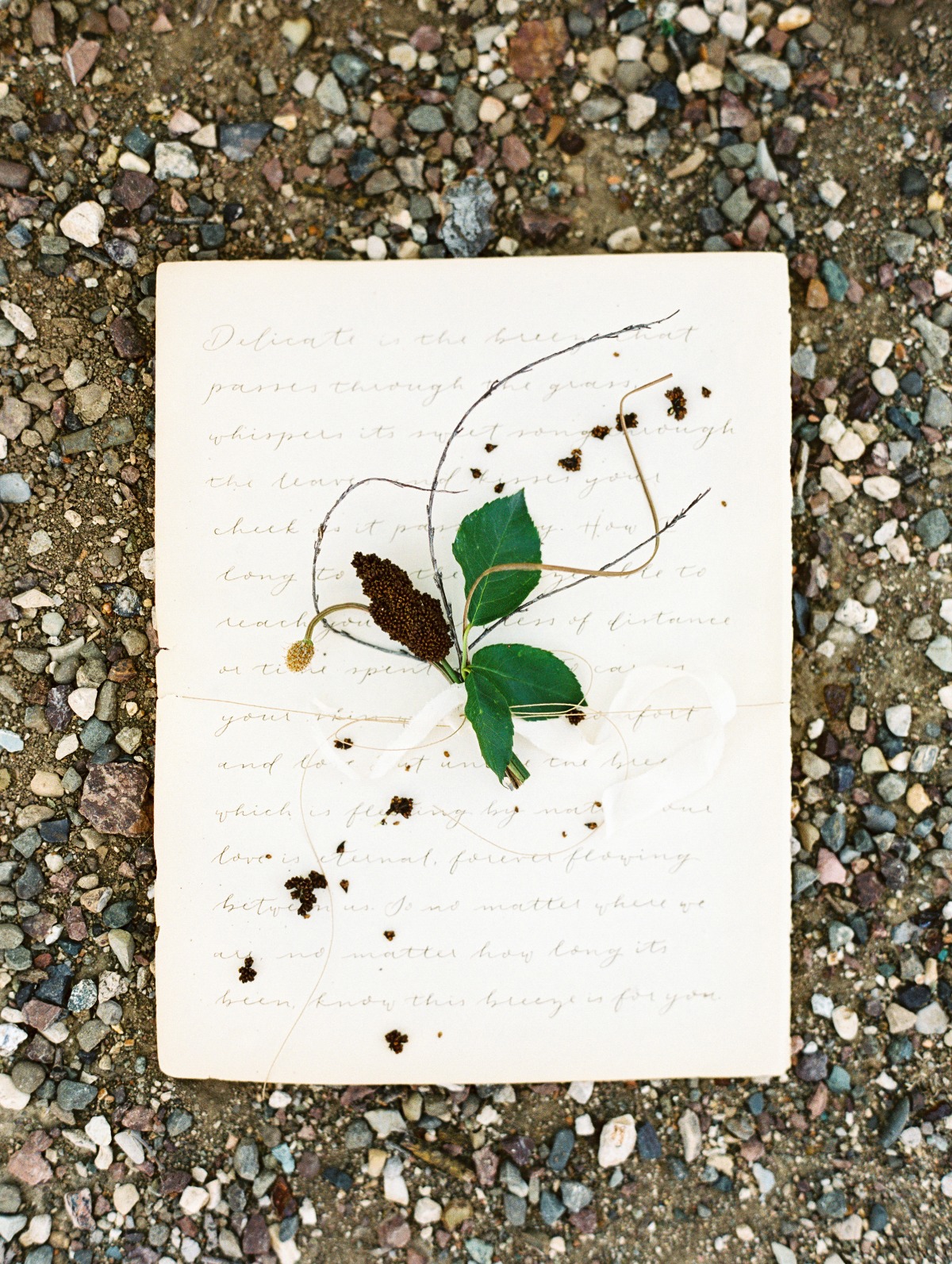 purasoulphoto_jannabrowndesign_20180502