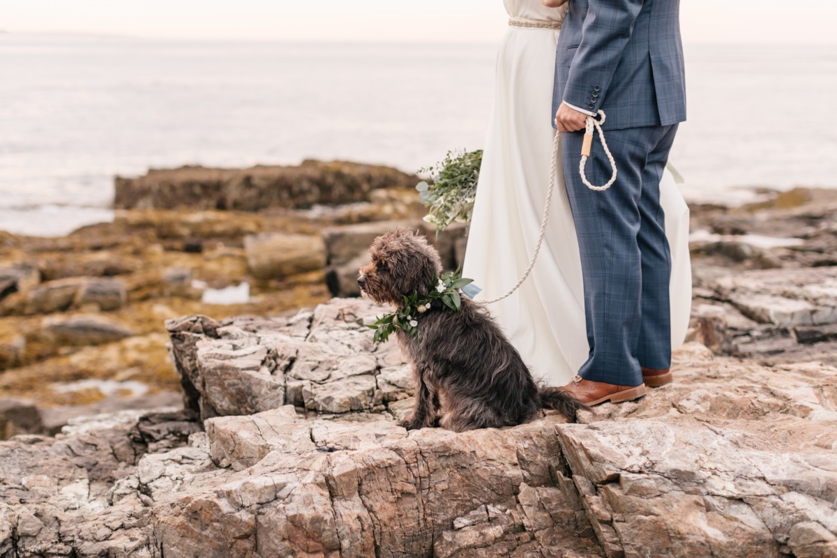 sara_and_joe-weddingchicks-emilywrenphot