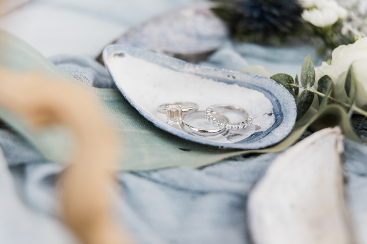 sara_and_joe-weddingchicks-emilywrenphot