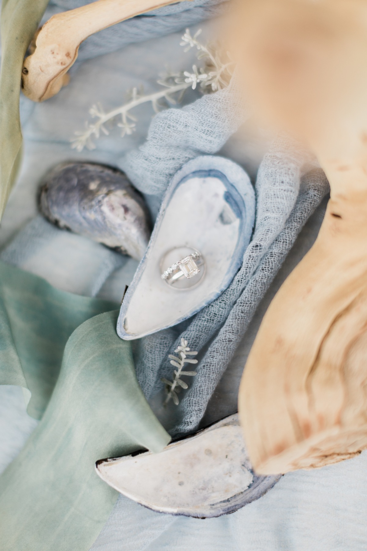 sara_and_joe-weddingchicks-emilywrenphot