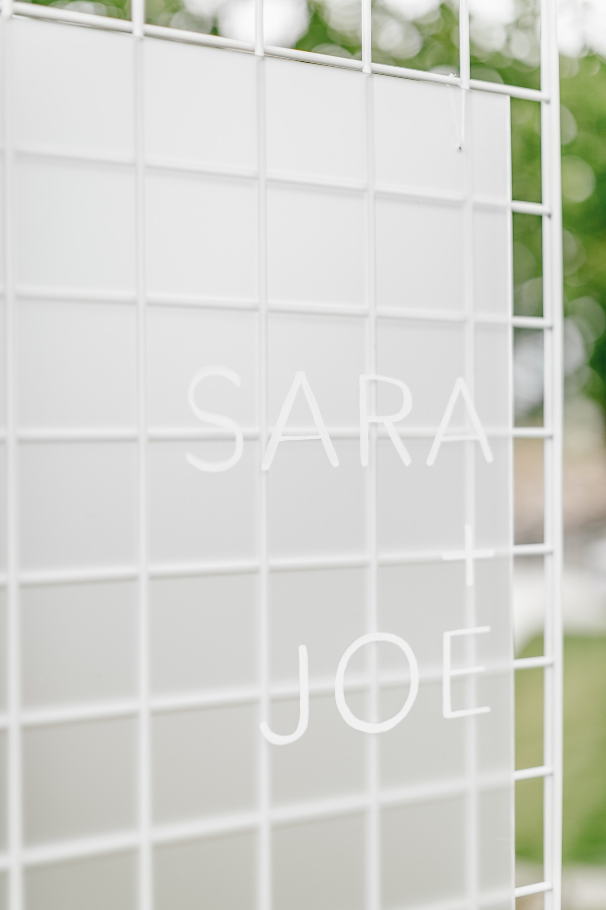 sara_and_joe-weddingchicks-emilywrenphot