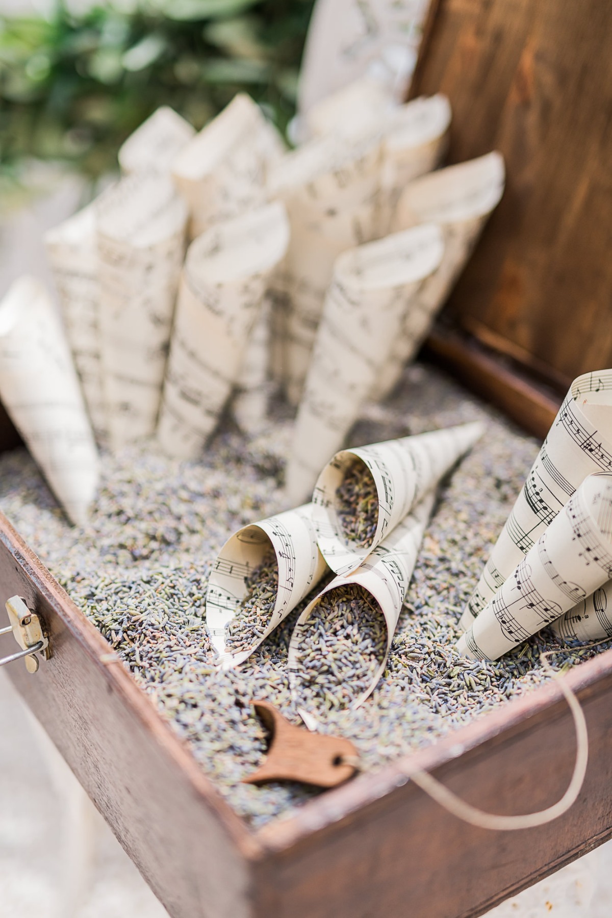 w180615_clairemorrisphoto_016