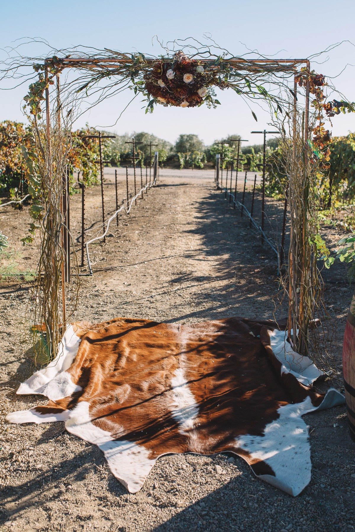 A Fall Vineyard Wedding That Is Both Modern And Cozy