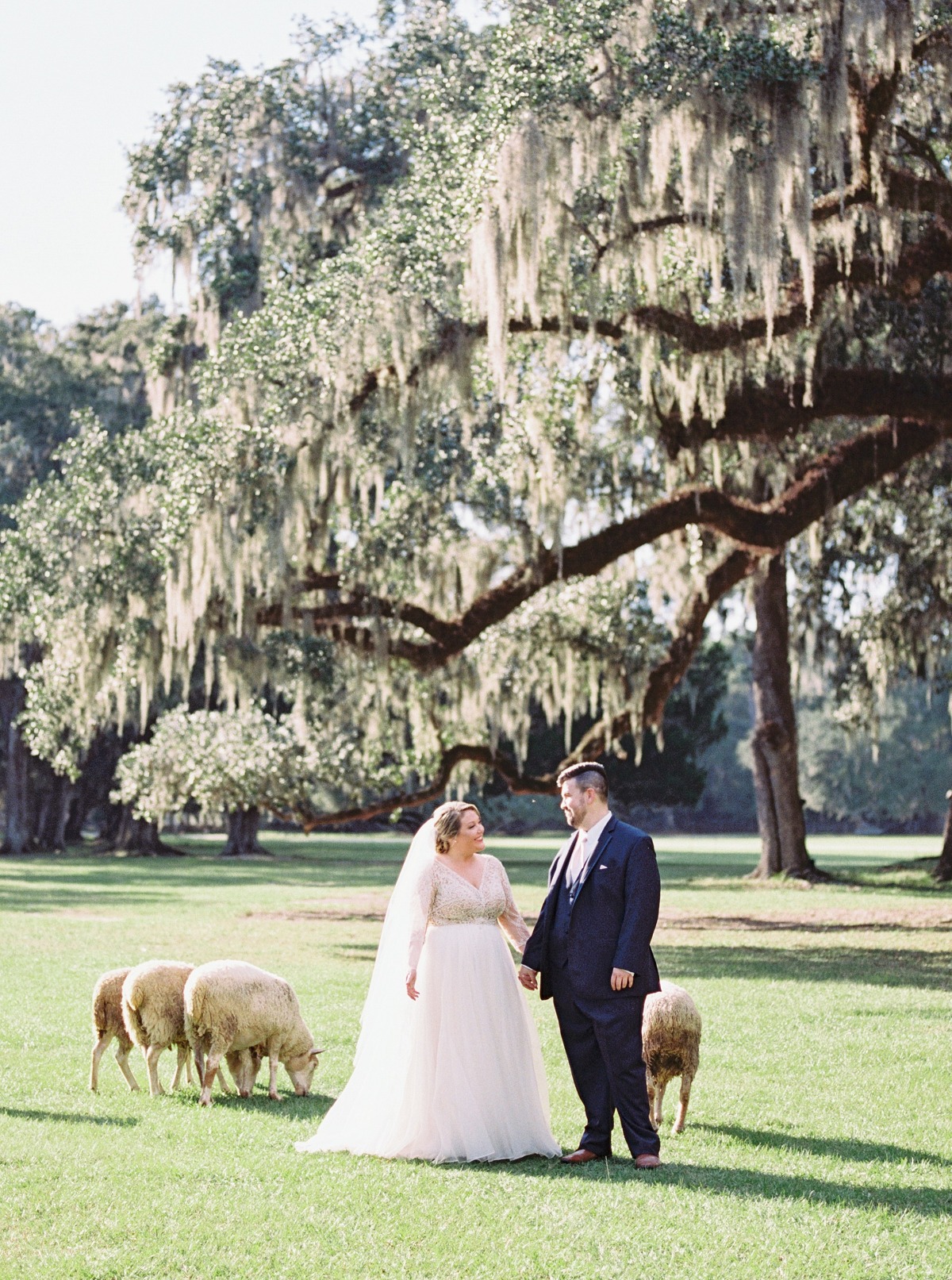 Sweet Southern Wedding in Charleston