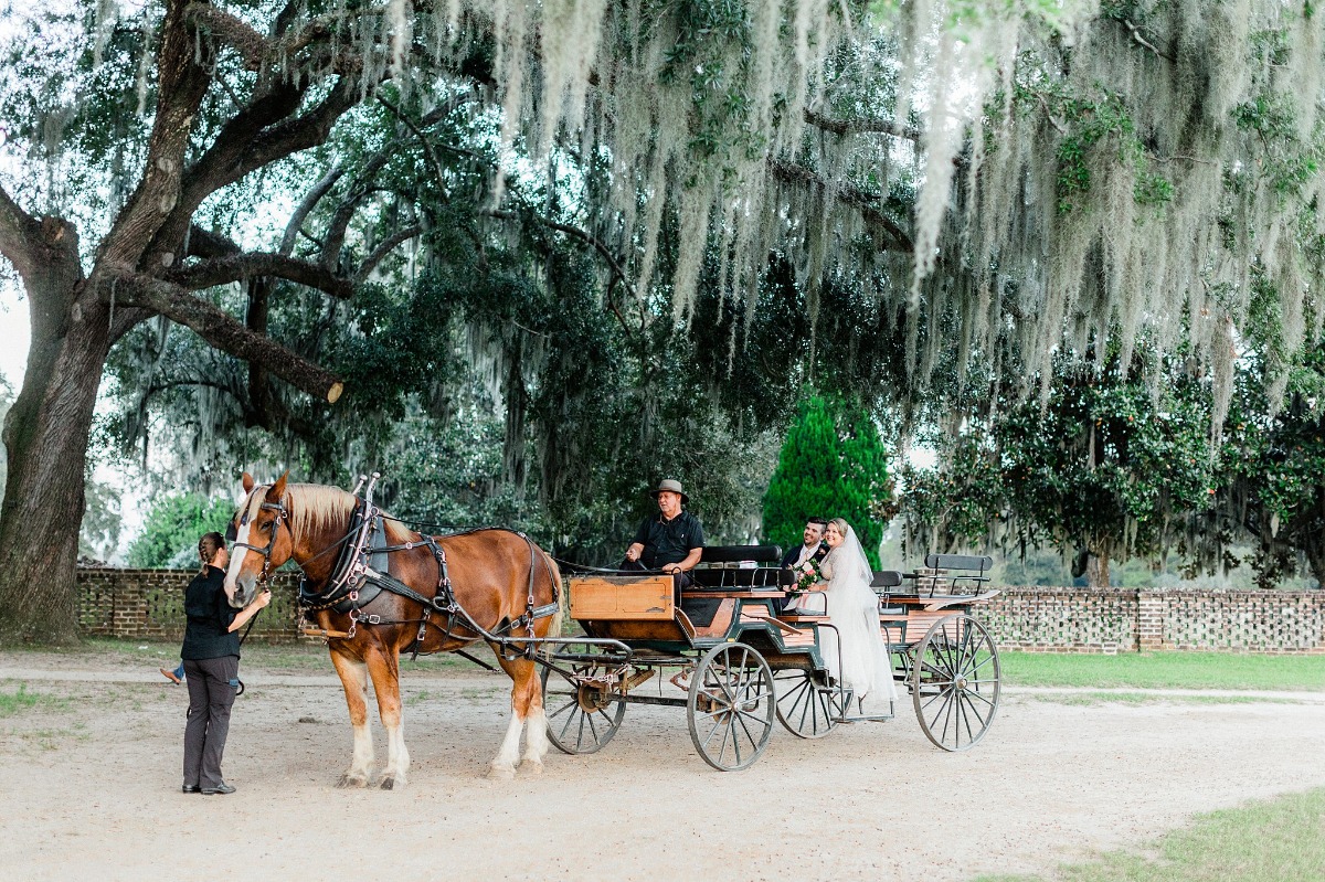 Horse and carriage