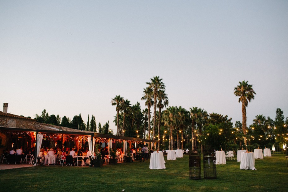 Outdoor evening event palm trees and string lights