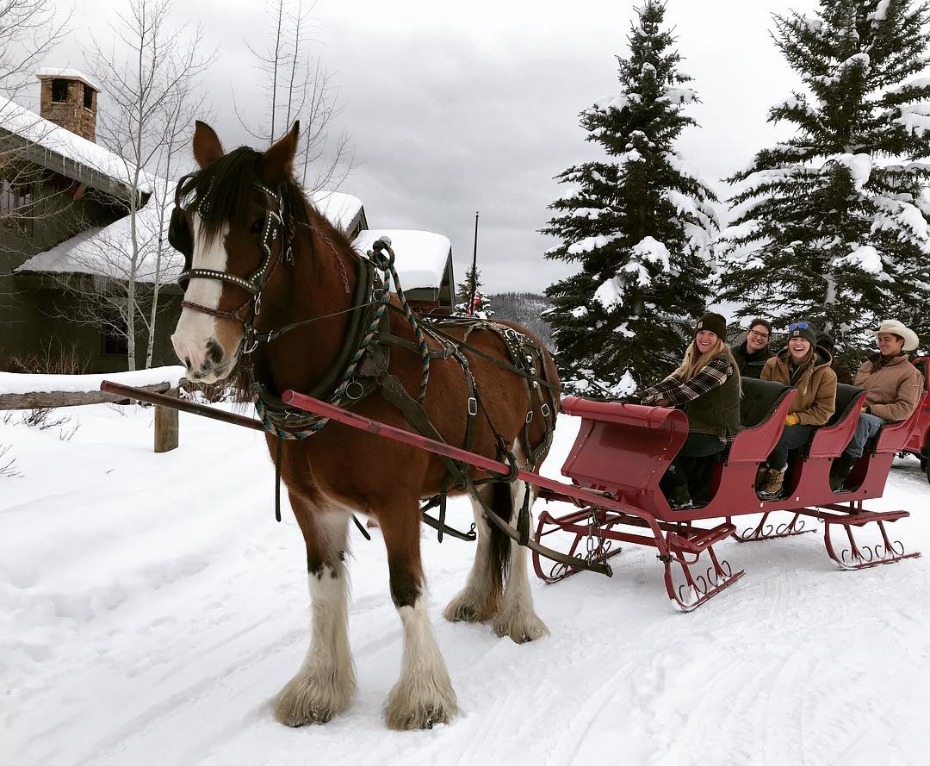 Vista Verde Steamboat Springs Horse Drawn Carriage Ride in Snow