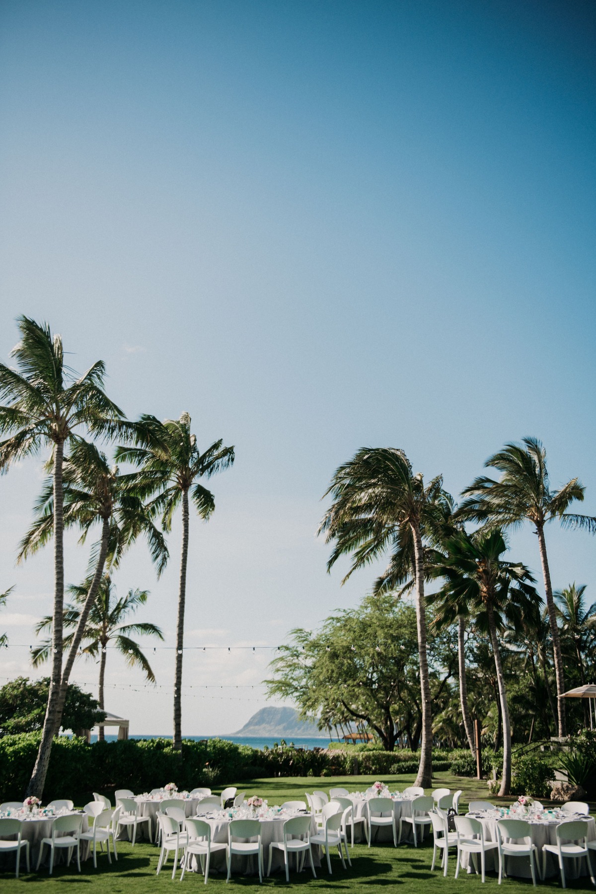 andreaeric_0493