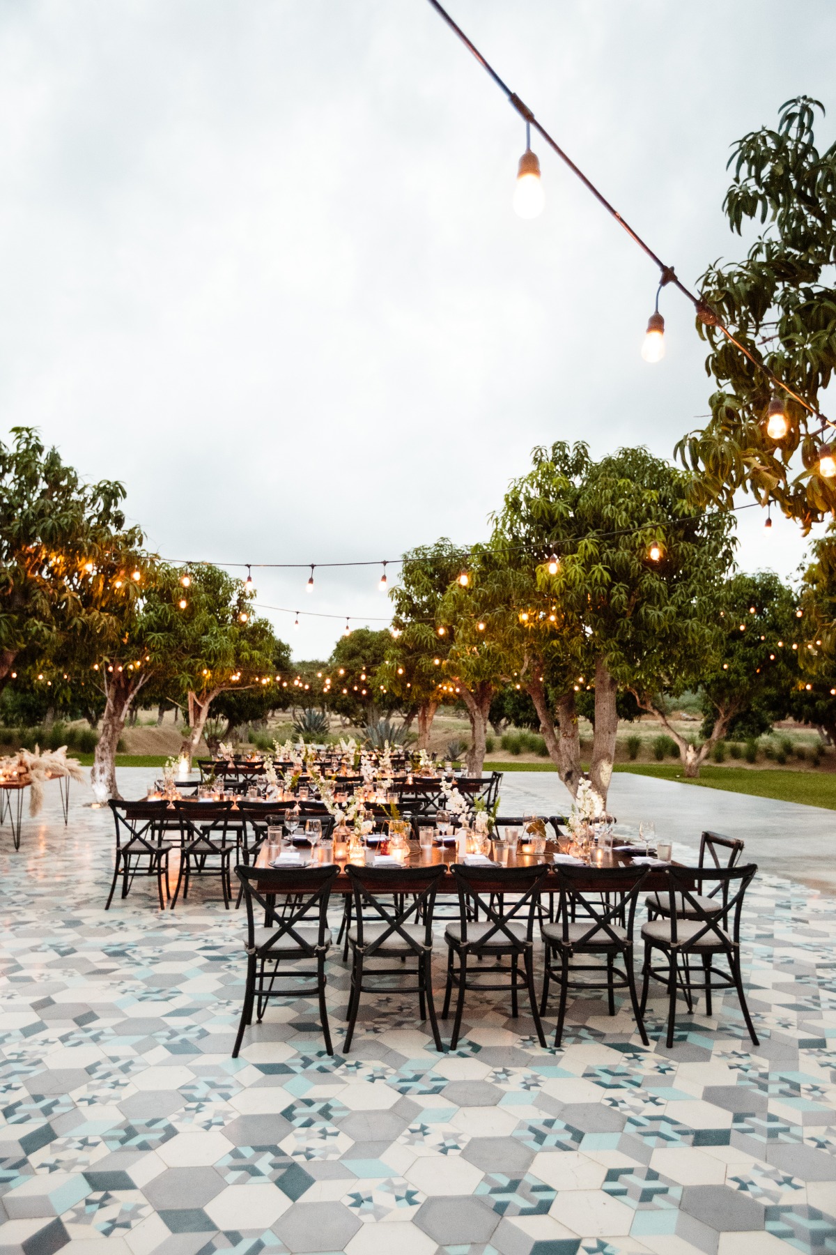 Chic outdoor reception in Cabo San Lucas