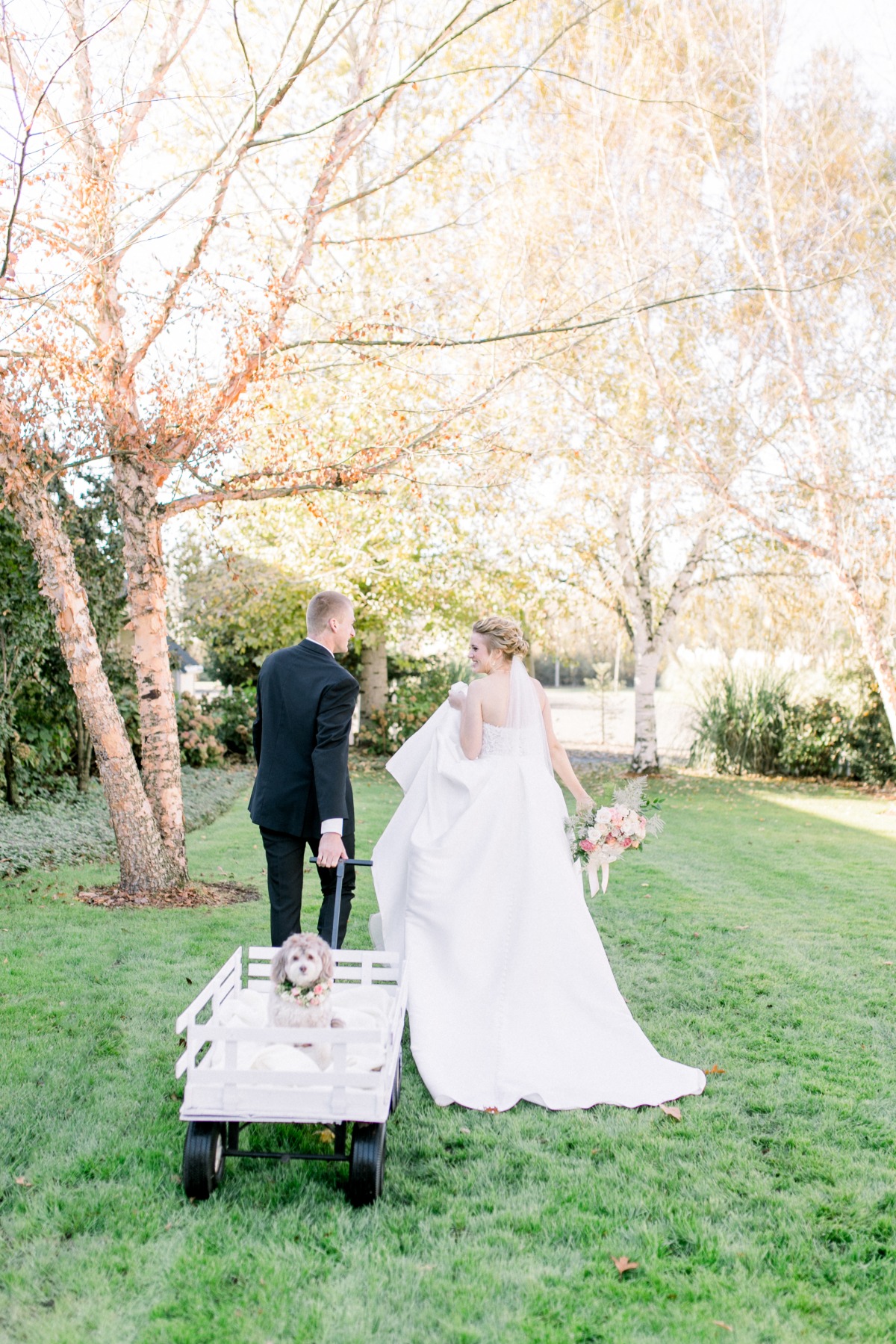 Bride and groom walking with dog in a wagon at outdoor wedding